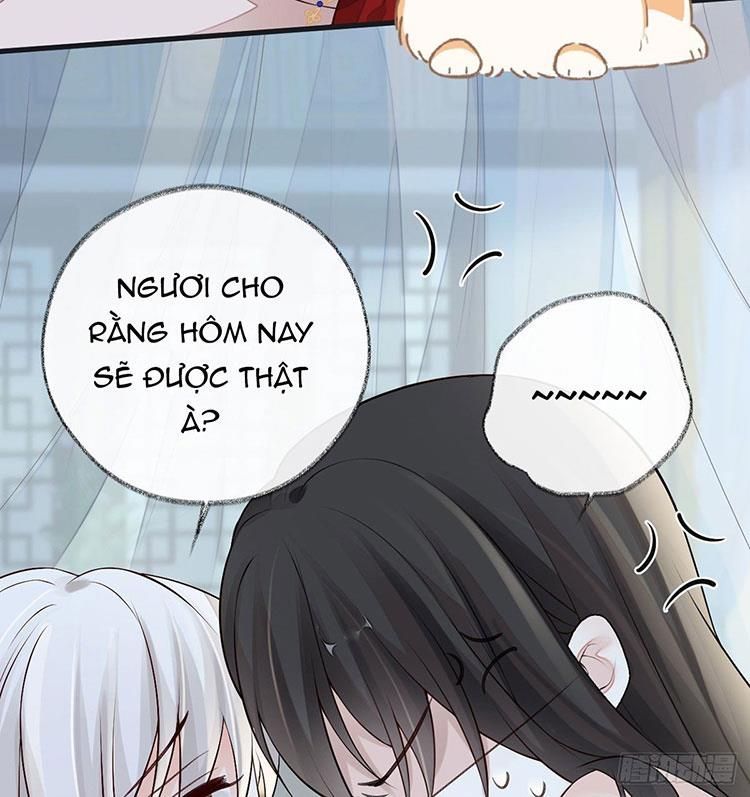 Thái Hậu Quân Hạ Thần Chapter 66.1 - Trang 2