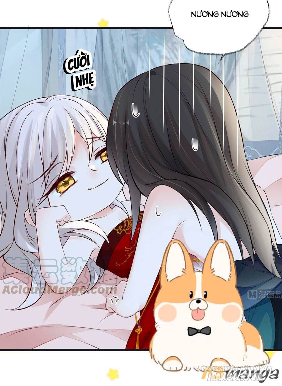 Thái Hậu Quân Hạ Thần Chapter 66 - Trang 2