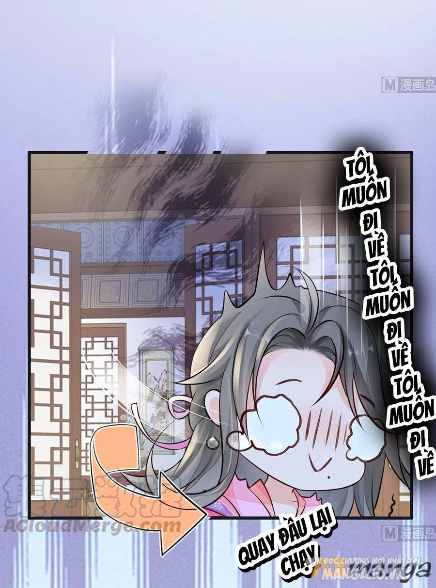 Thái Hậu Quân Hạ Thần Chapter 67 - Trang 2