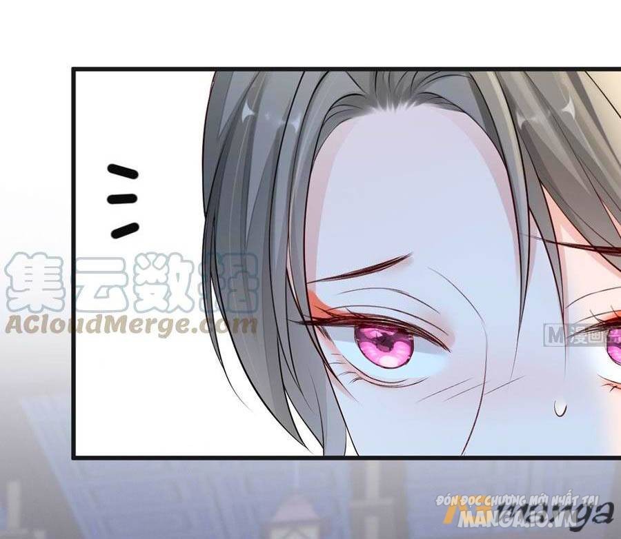 Thái Hậu Quân Hạ Thần Chapter 67 - Trang 2