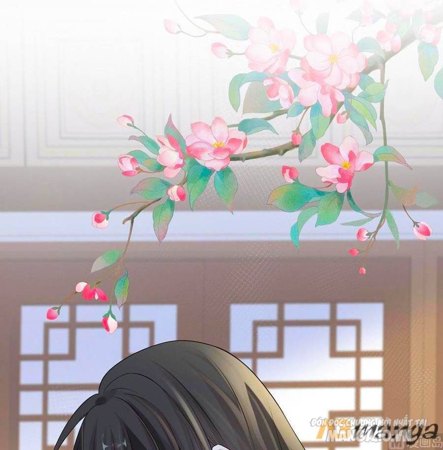 Thái Hậu Quân Hạ Thần Chapter 67 - Trang 2