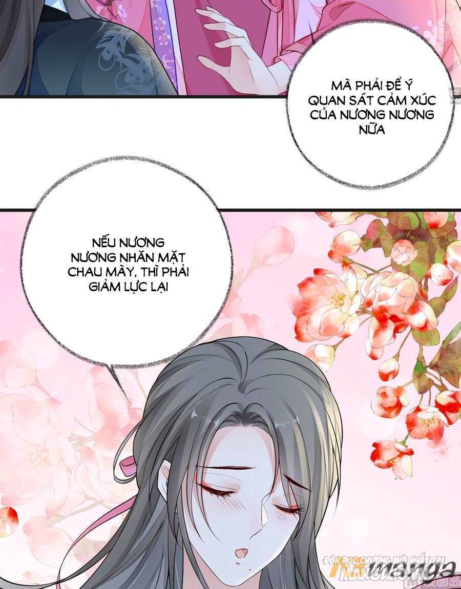 Thái Hậu Quân Hạ Thần Chapter 67 - Trang 2