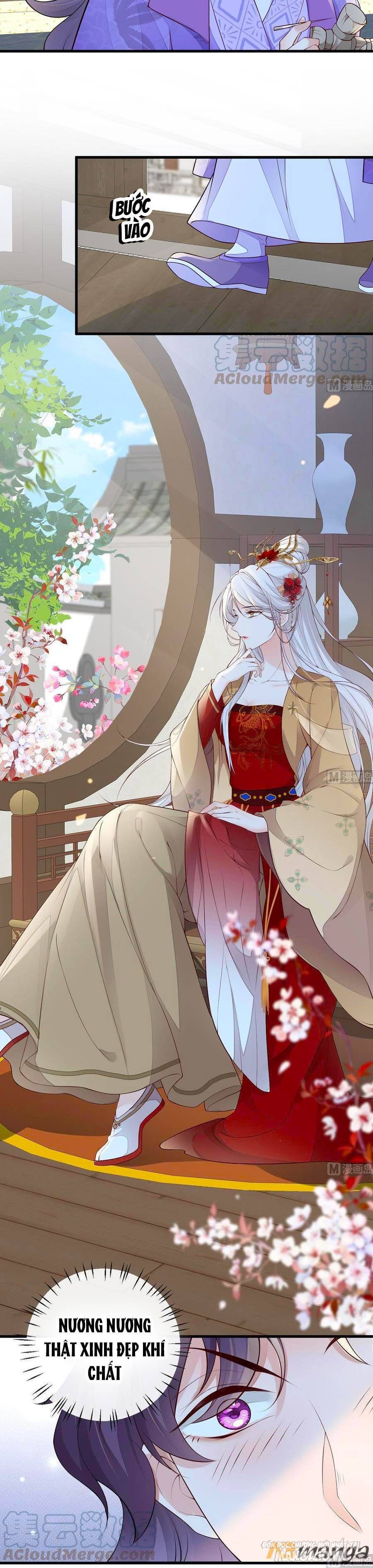 Thái Hậu Quân Hạ Thần Chapter 69 - Trang 2