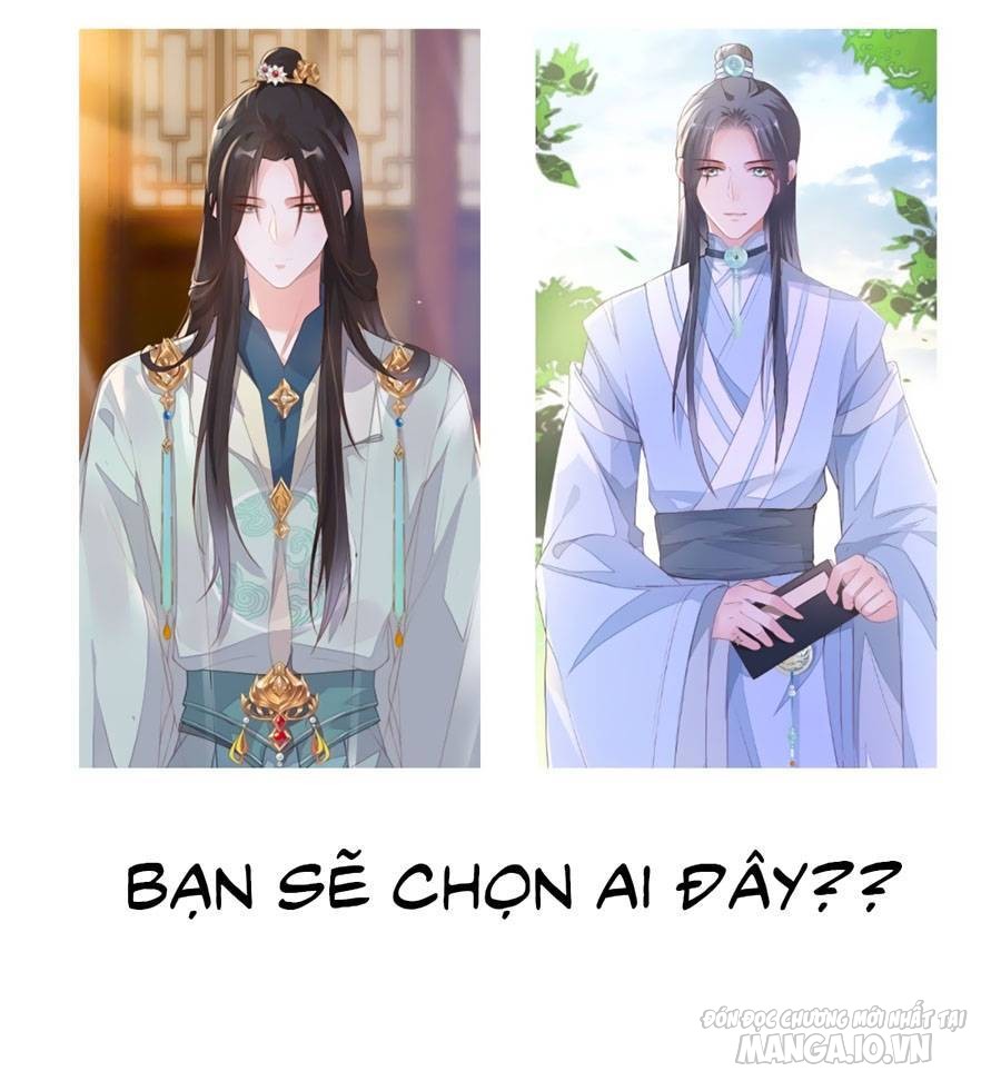 Thái Hậu Quân Hạ Thần Chapter 7 - Trang 2