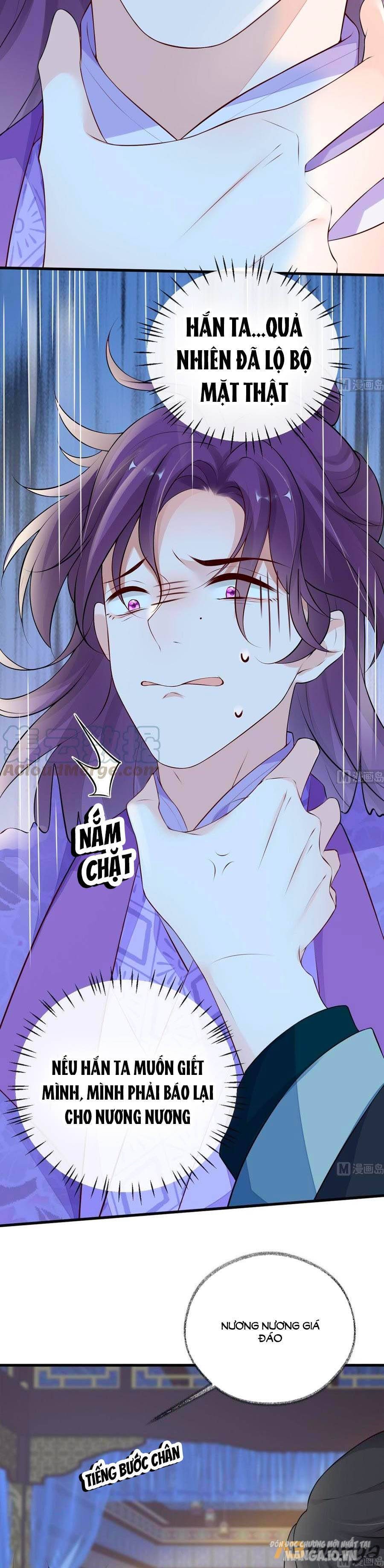 Thái Hậu Quân Hạ Thần Chapter 71 - Trang 2