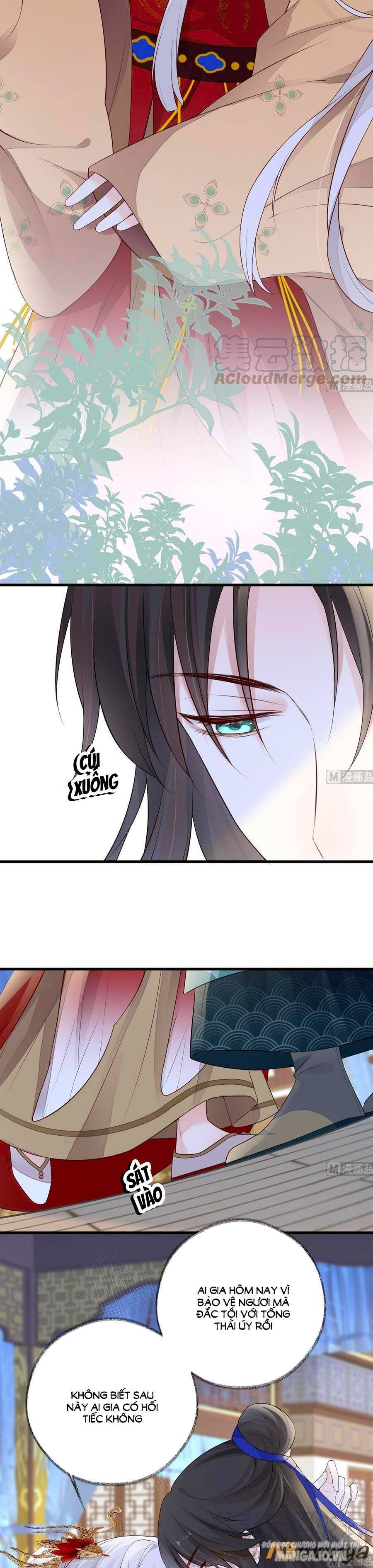 Thái Hậu Quân Hạ Thần Chapter 73 - Trang 2