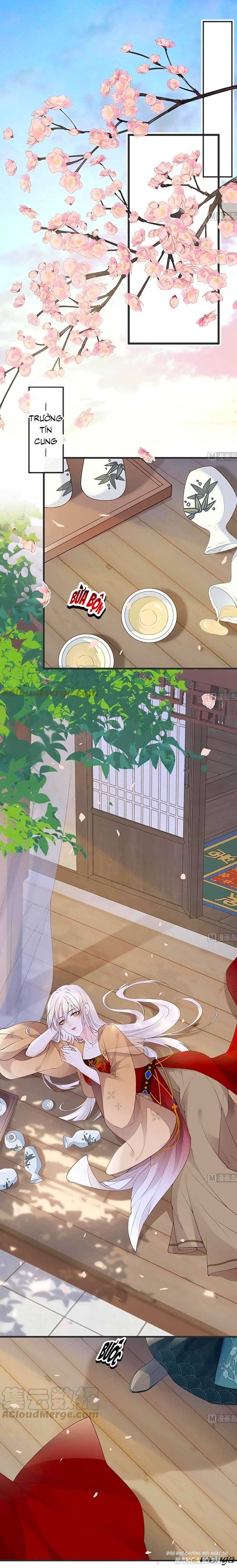 Thái Hậu Quân Hạ Thần Chapter 77 - Trang 2