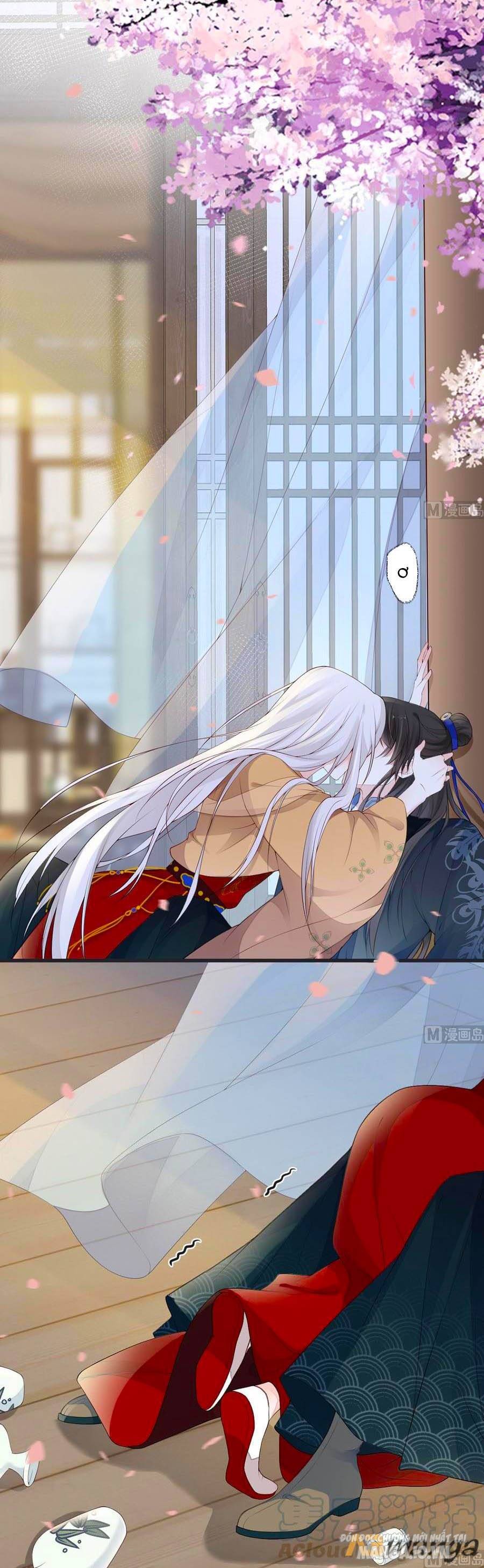 Thái Hậu Quân Hạ Thần Chapter 78 - Trang 2