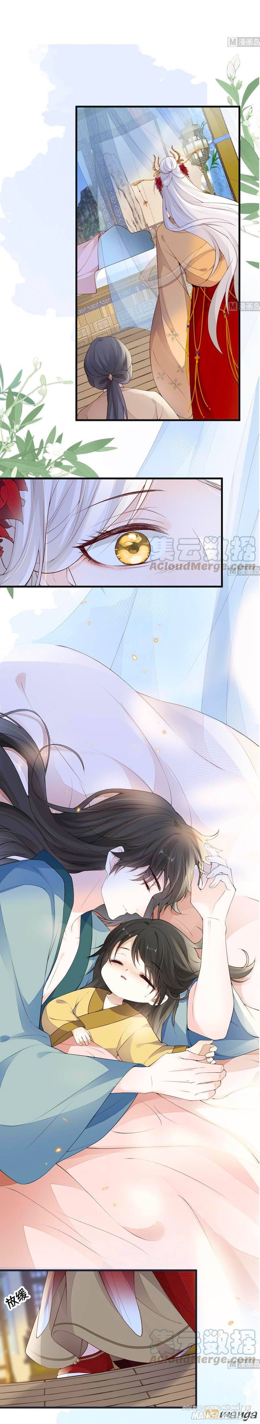 Thái Hậu Quân Hạ Thần Chapter 81 - Trang 2