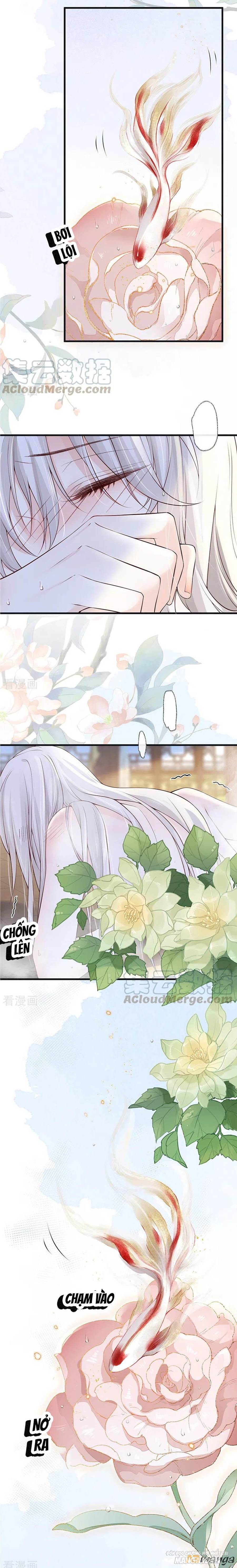 Thái Hậu Quân Hạ Thần Chapter 86 - Trang 2