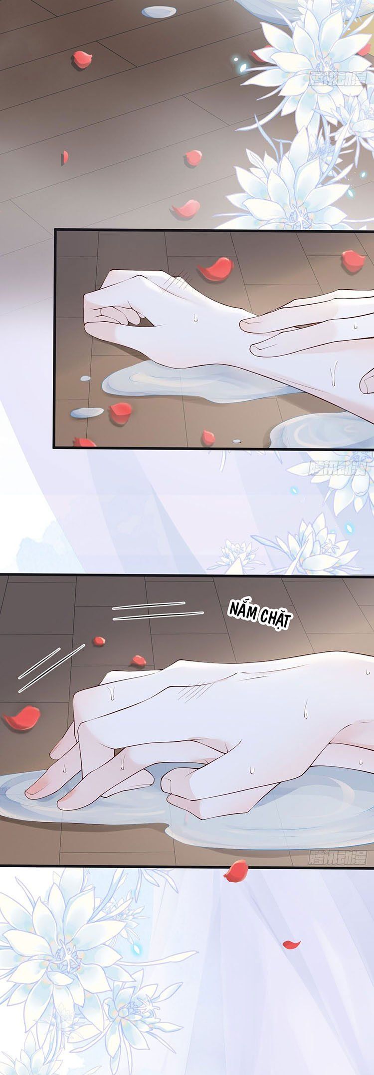 Thái Hậu Quân Hạ Thần Chapter 87.5 - Trang 2