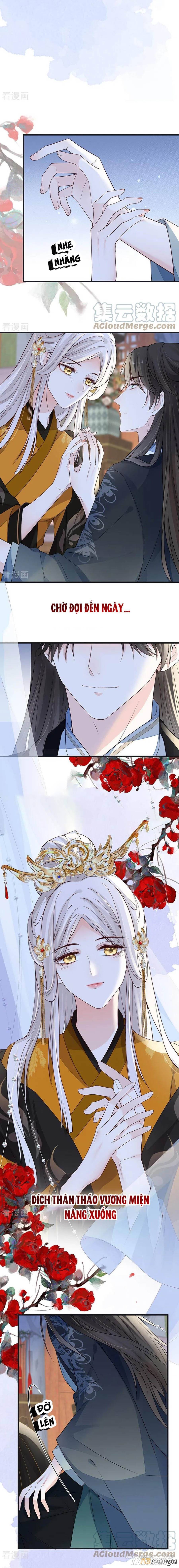 Thái Hậu Quân Hạ Thần Chapter 97 - Trang 2