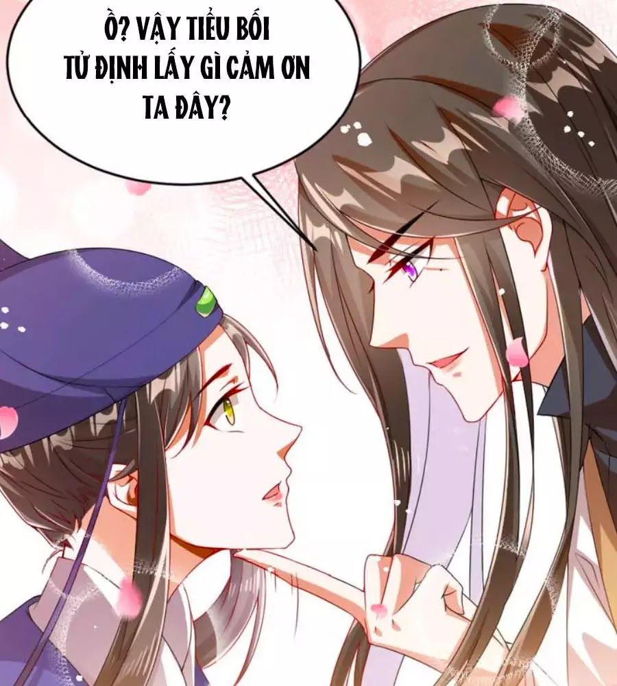 Thái Tử Điện Hạ, Nô Tài Có Hỉ Rồi Chapter 16 - Trang 2