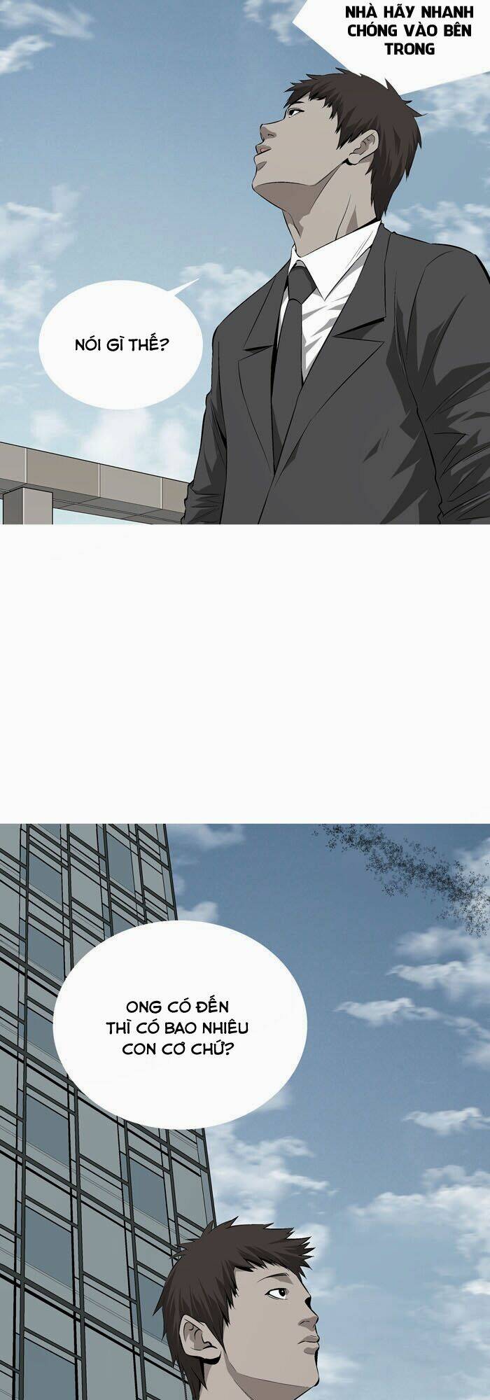 Thảm Họa Ong Độc Chapter 1 - Trang 2