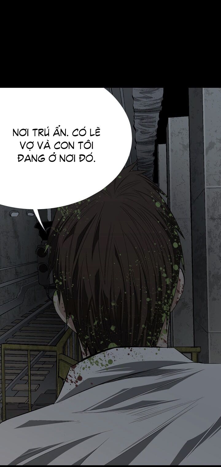 Thảm Họa Ong Độc Chapter 10 - Trang 2