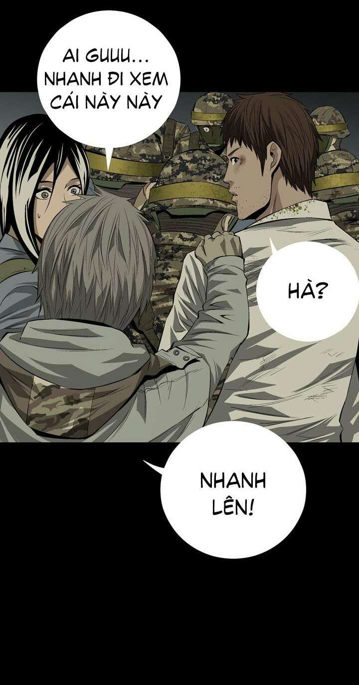 Thảm Họa Ong Độc Chapter 11 - Trang 2