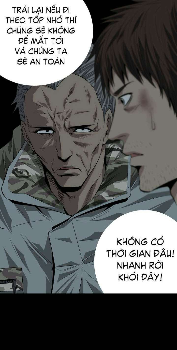 Thảm Họa Ong Độc Chapter 11 - Trang 2