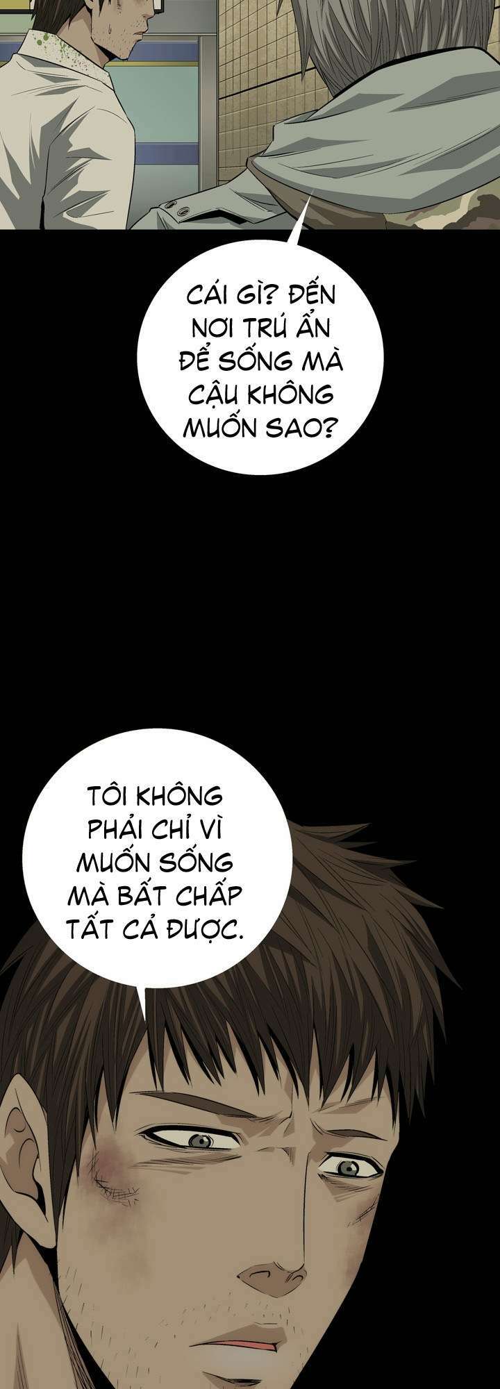 Thảm Họa Ong Độc Chapter 11 - Trang 2