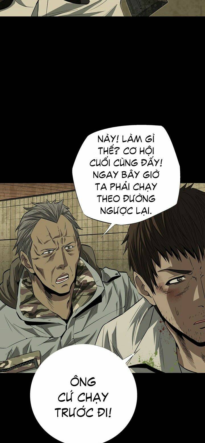 Thảm Họa Ong Độc Chapter 12 - Trang 2