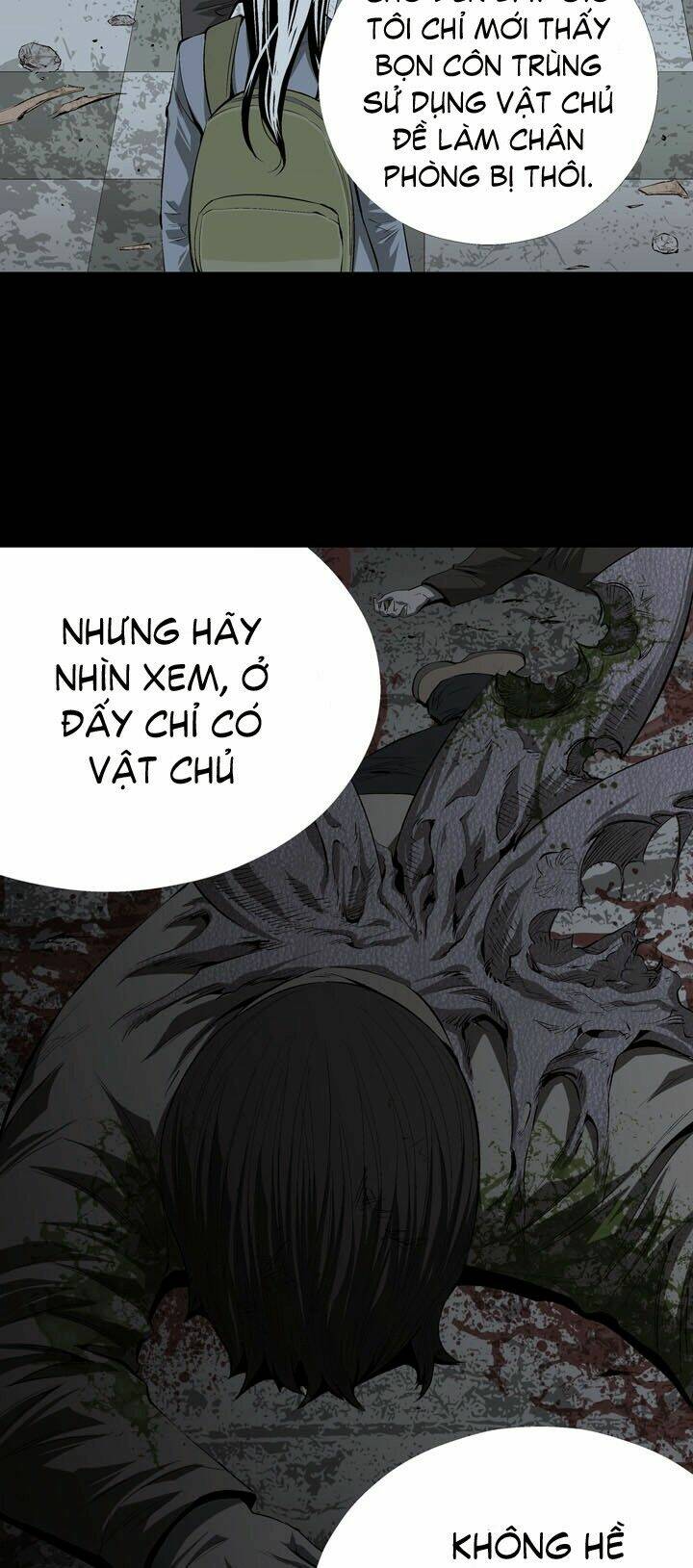 Thảm Họa Ong Độc Chapter 12 - Trang 2