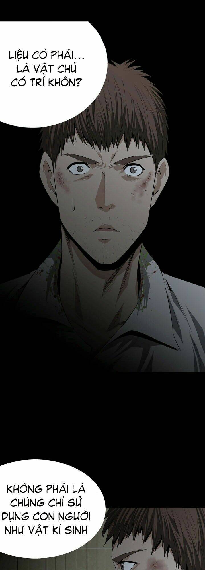 Thảm Họa Ong Độc Chapter 12 - Trang 2