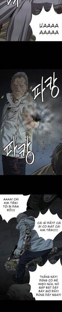 Thảm Họa Ong Độc Chapter 14 - Trang 2