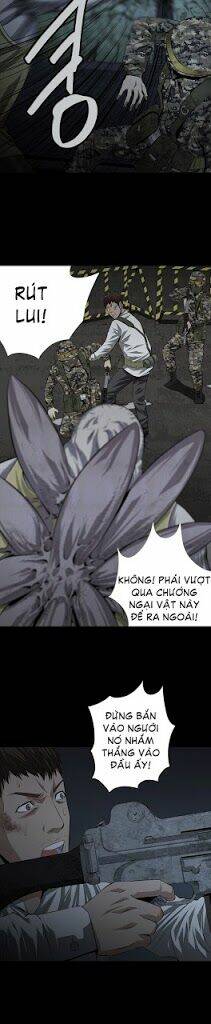 Thảm Họa Ong Độc Chapter 14 - Trang 2