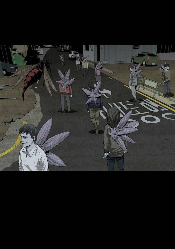 Thảm Họa Ong Độc Chapter 16 - Trang 2