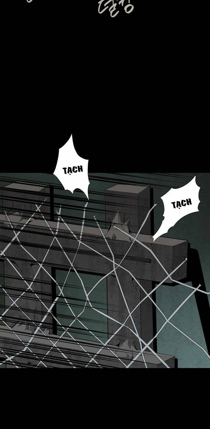 Thảm Họa Ong Độc Chapter 17 - Trang 2