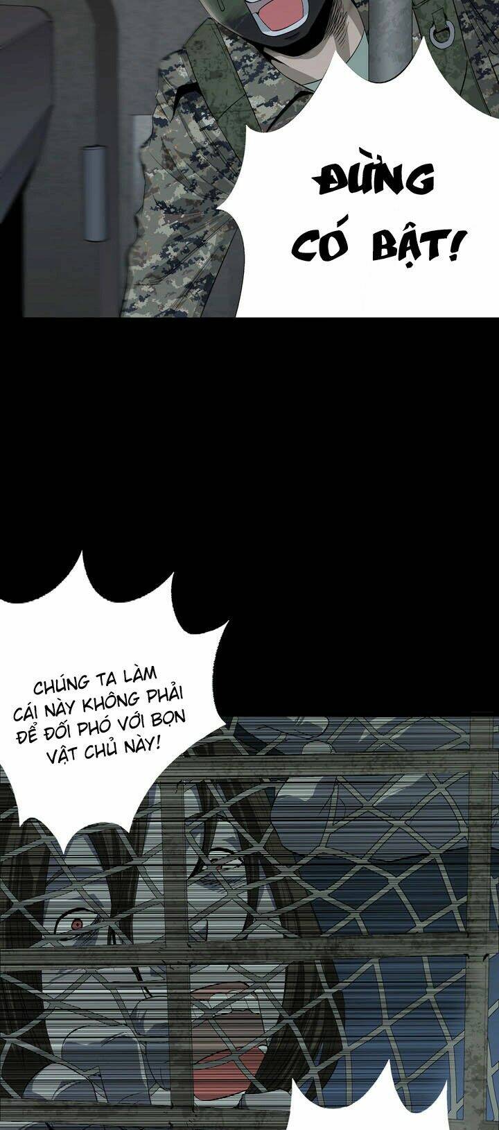 Thảm Họa Ong Độc Chapter 17 - Trang 2