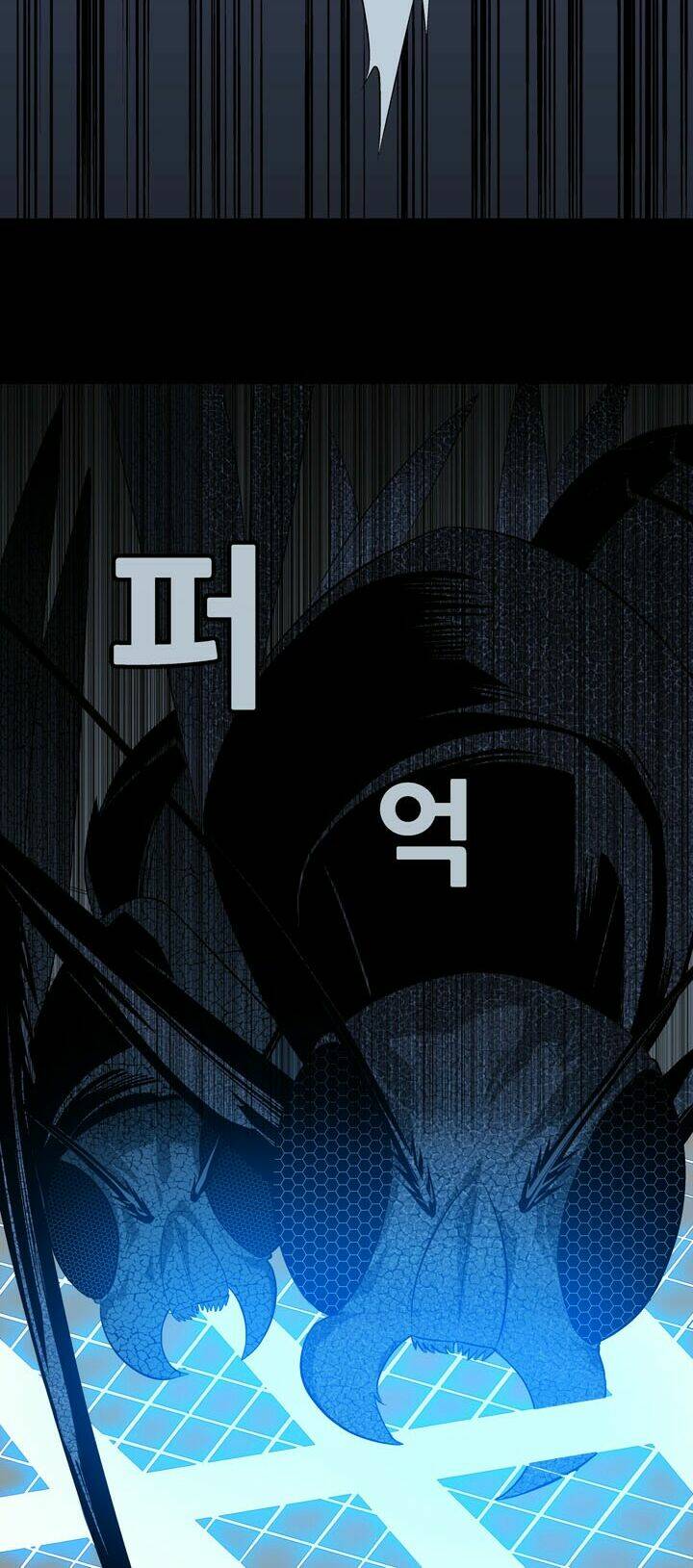 Thảm Họa Ong Độc Chapter 17 - Trang 2