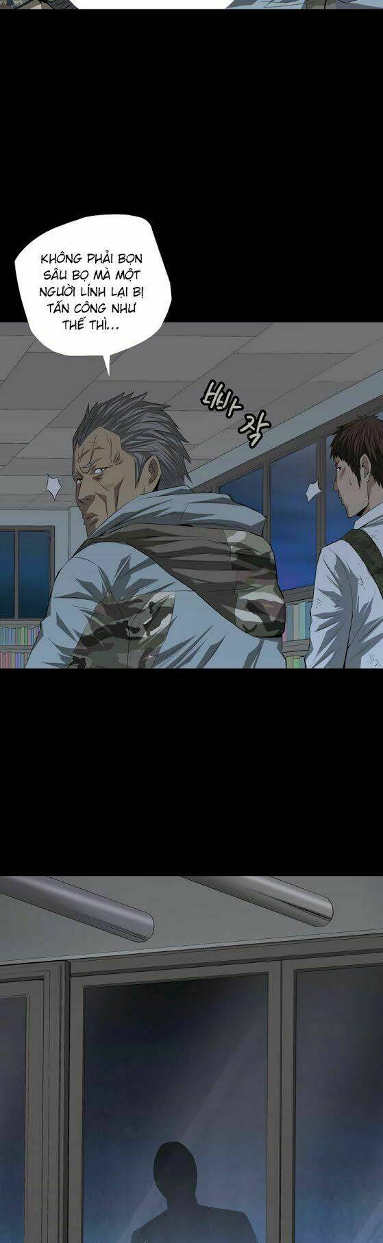 Thảm Họa Ong Độc Chapter 18 - Trang 2