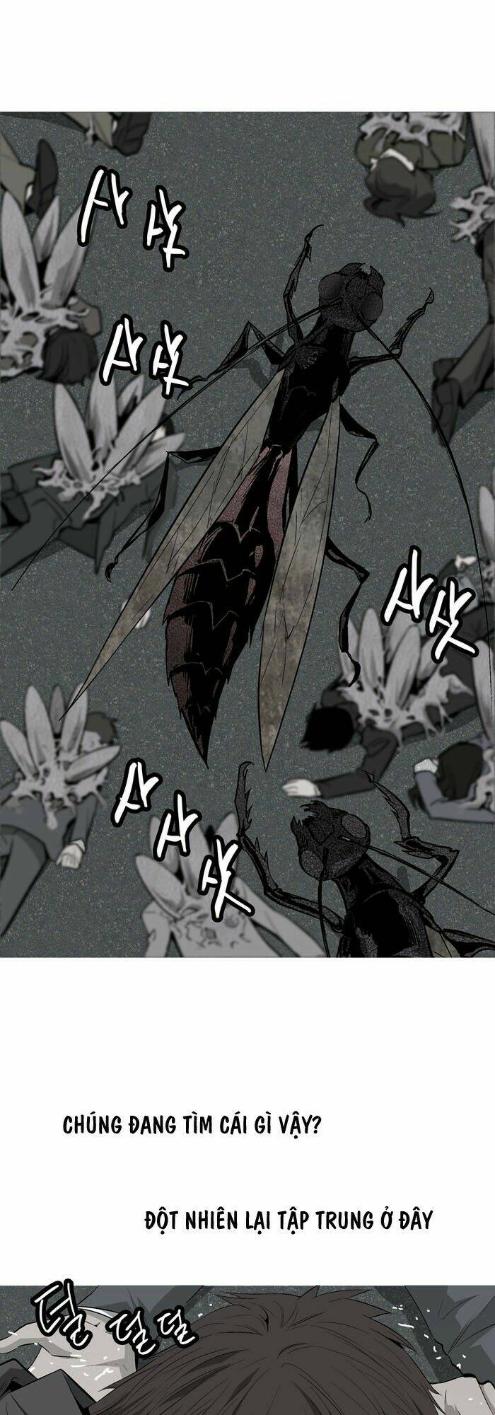 Thảm Họa Ong Độc Chapter 2 - Trang 2