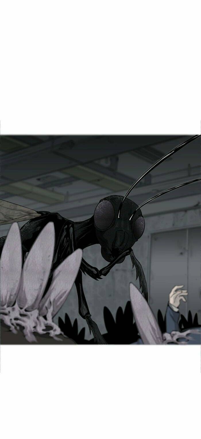 Thảm Họa Ong Độc Chapter 2 - Trang 2