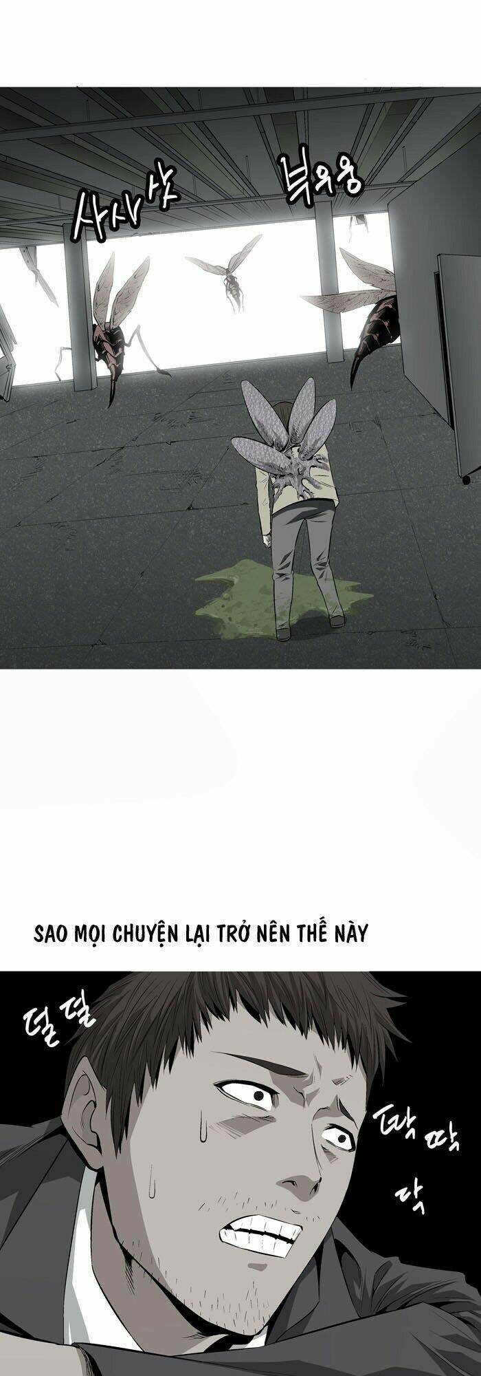 Thảm Họa Ong Độc Chapter 2 - Trang 2