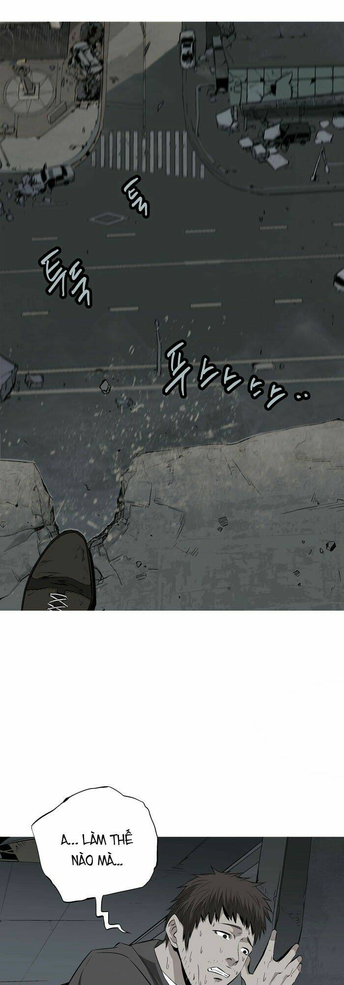 Thảm Họa Ong Độc Chapter 2 - Trang 2