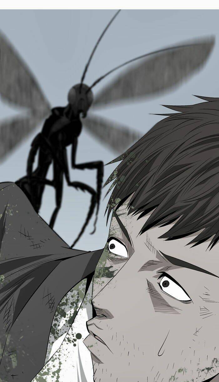 Thảm Họa Ong Độc Chapter 2 - Trang 2