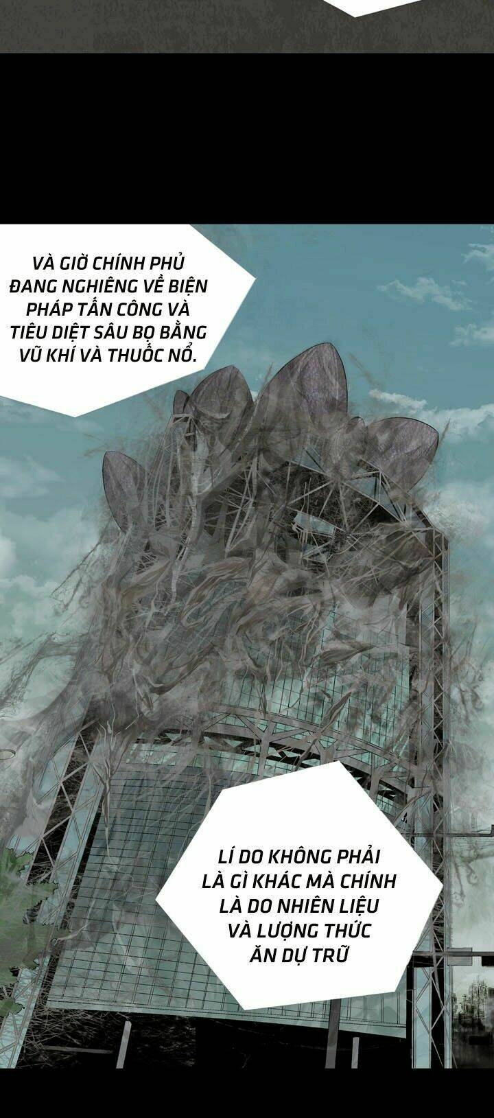 Thảm Họa Ong Độc Chapter 20 - Trang 2