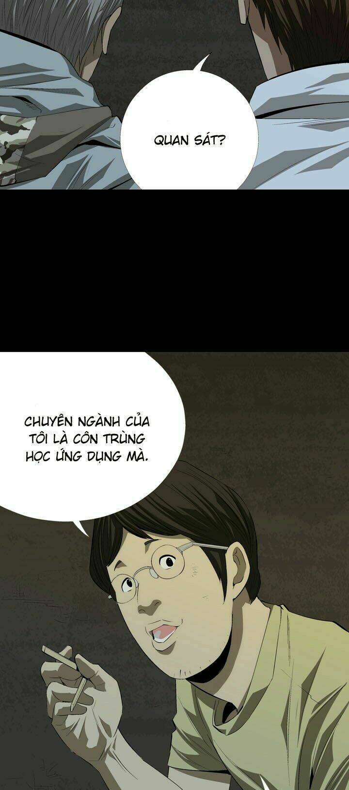 Thảm Họa Ong Độc Chapter 20 - Trang 2