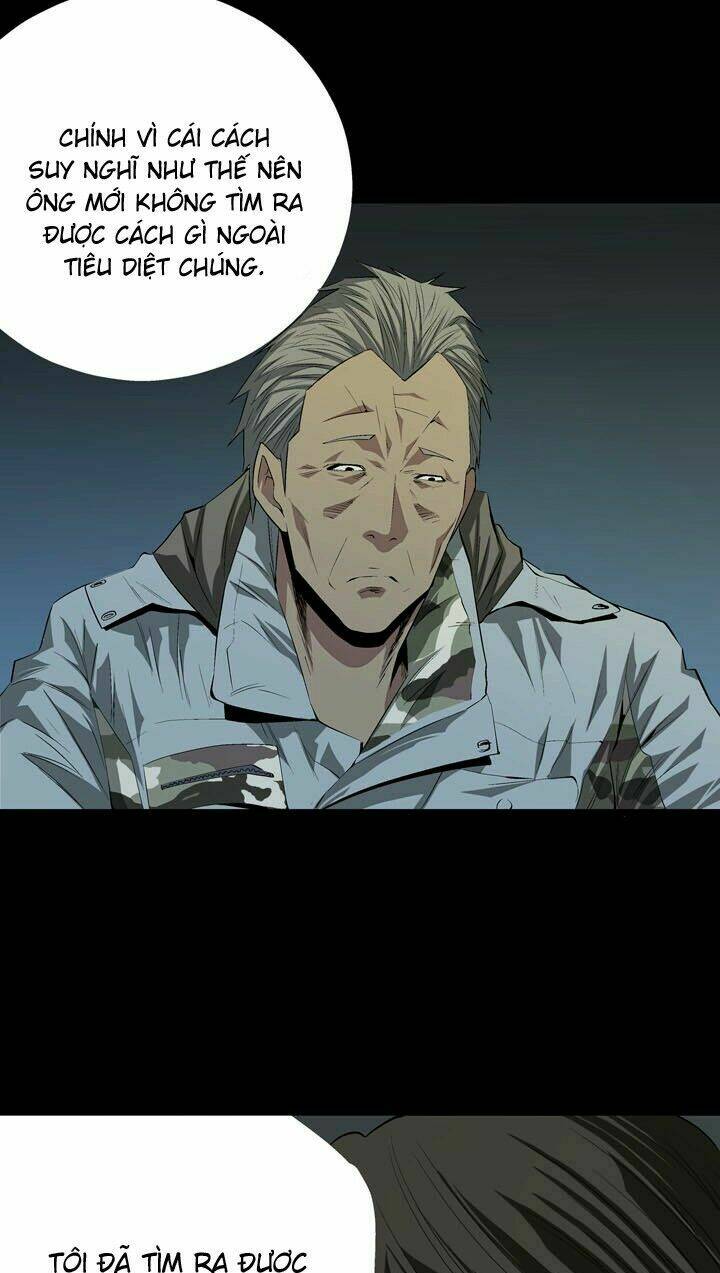 Thảm Họa Ong Độc Chapter 20 - Trang 2