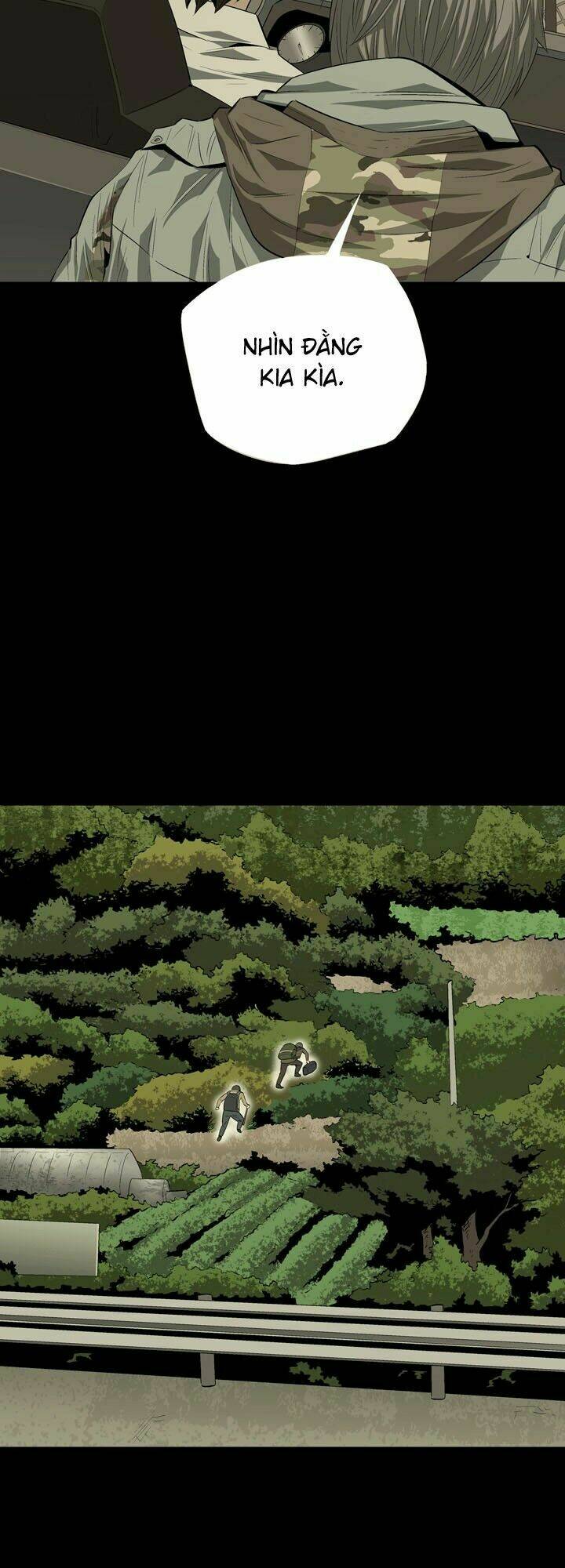 Thảm Họa Ong Độc Chapter 21 - Trang 2