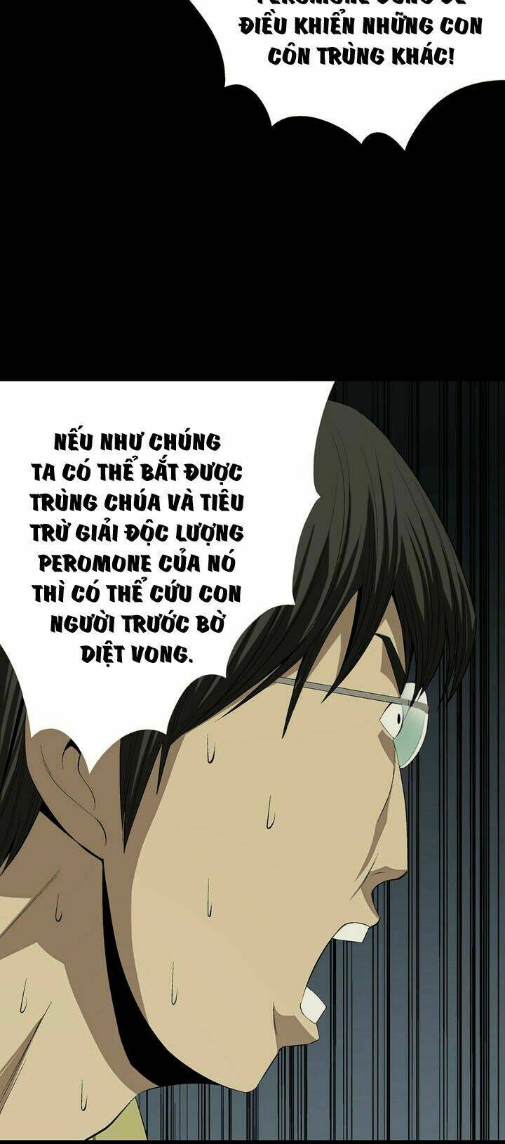 Thảm Họa Ong Độc Chapter 23 - Trang 2