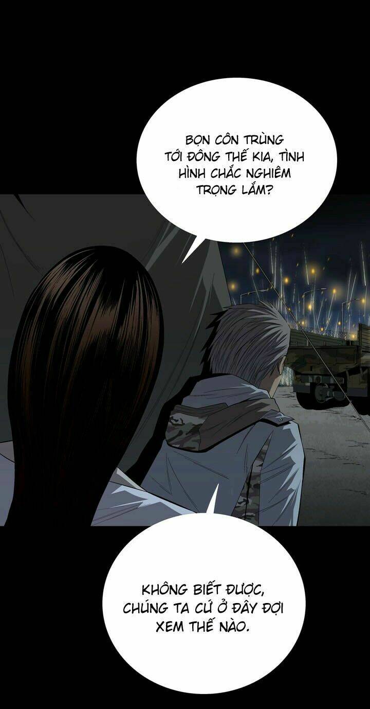 Thảm Họa Ong Độc Chapter 26 - Trang 2