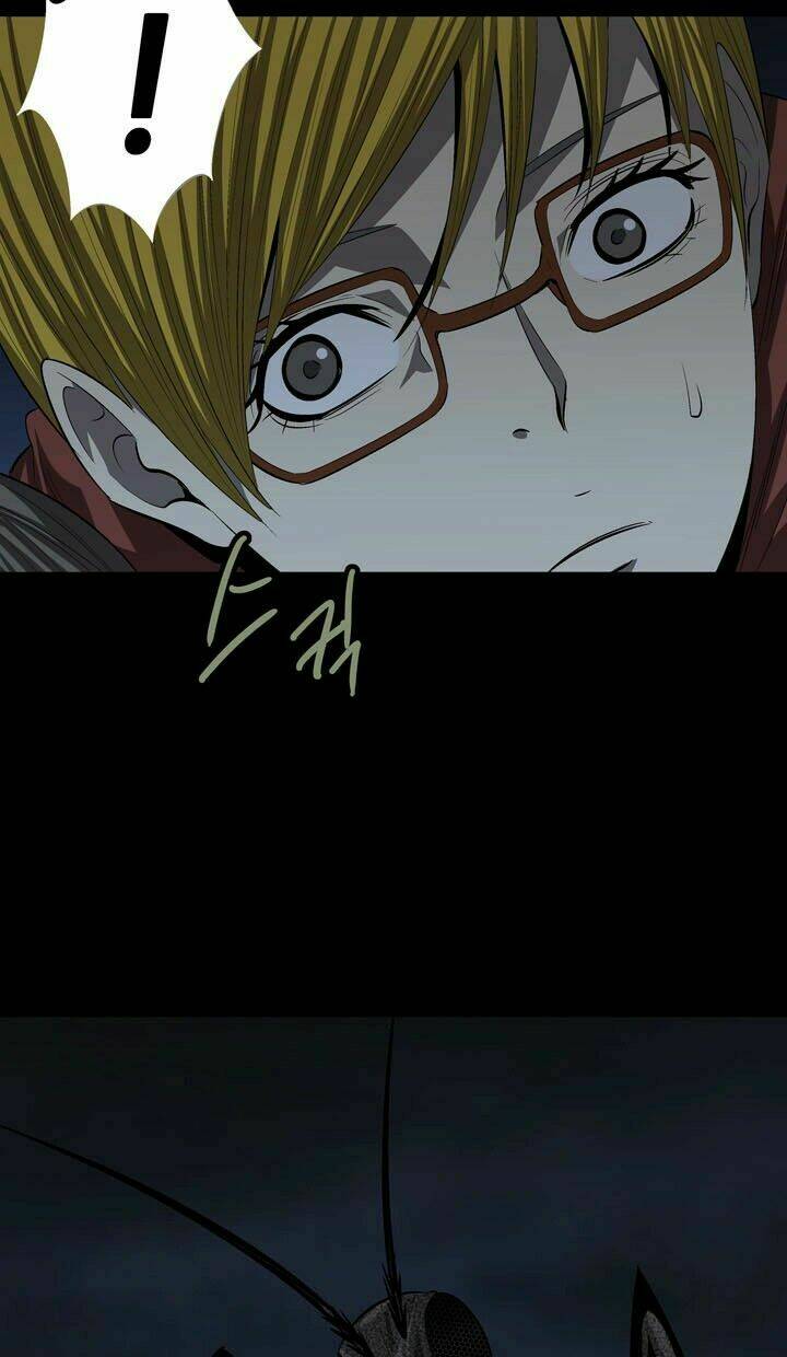 Thảm Họa Ong Độc Chapter 27 - Trang 2