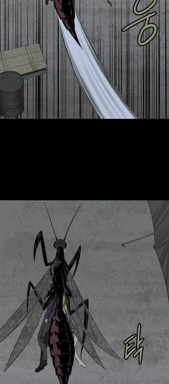 Thảm Họa Ong Độc Chapter 28 - Trang 2