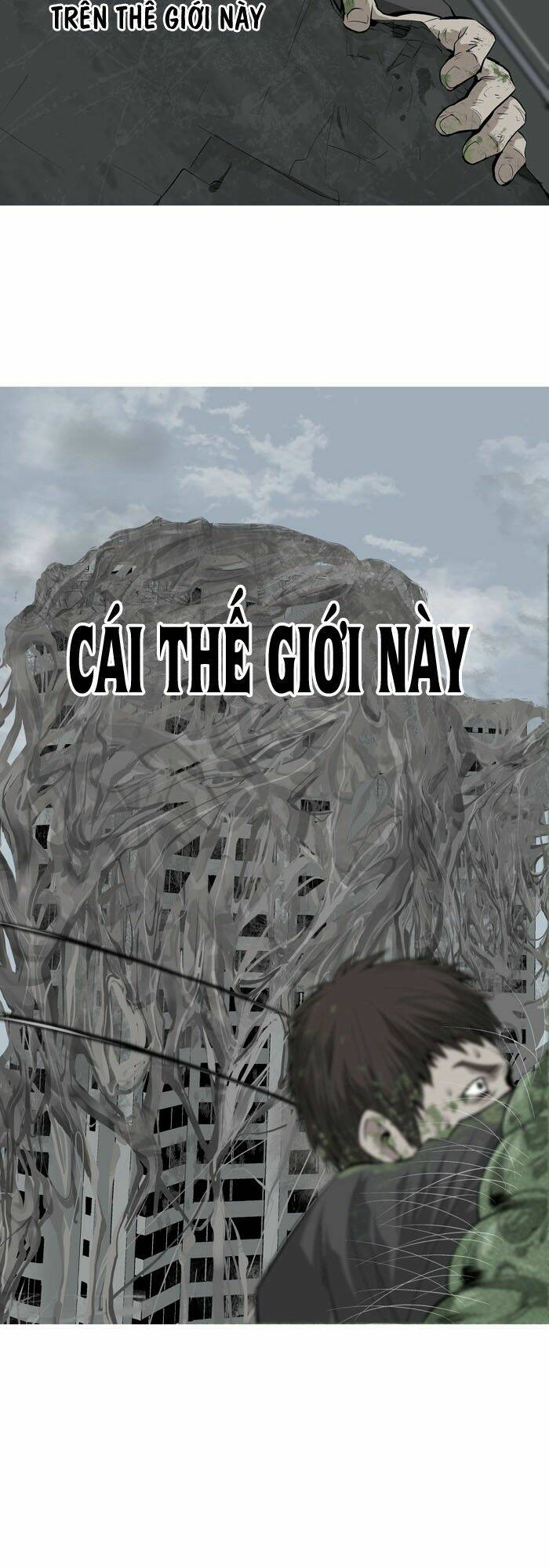 Thảm Họa Ong Độc Chapter 3 - Trang 2