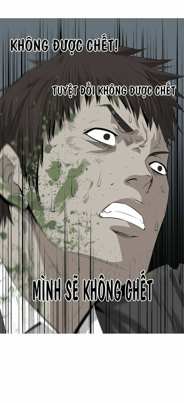 Thảm Họa Ong Độc Chapter 3 - Trang 2