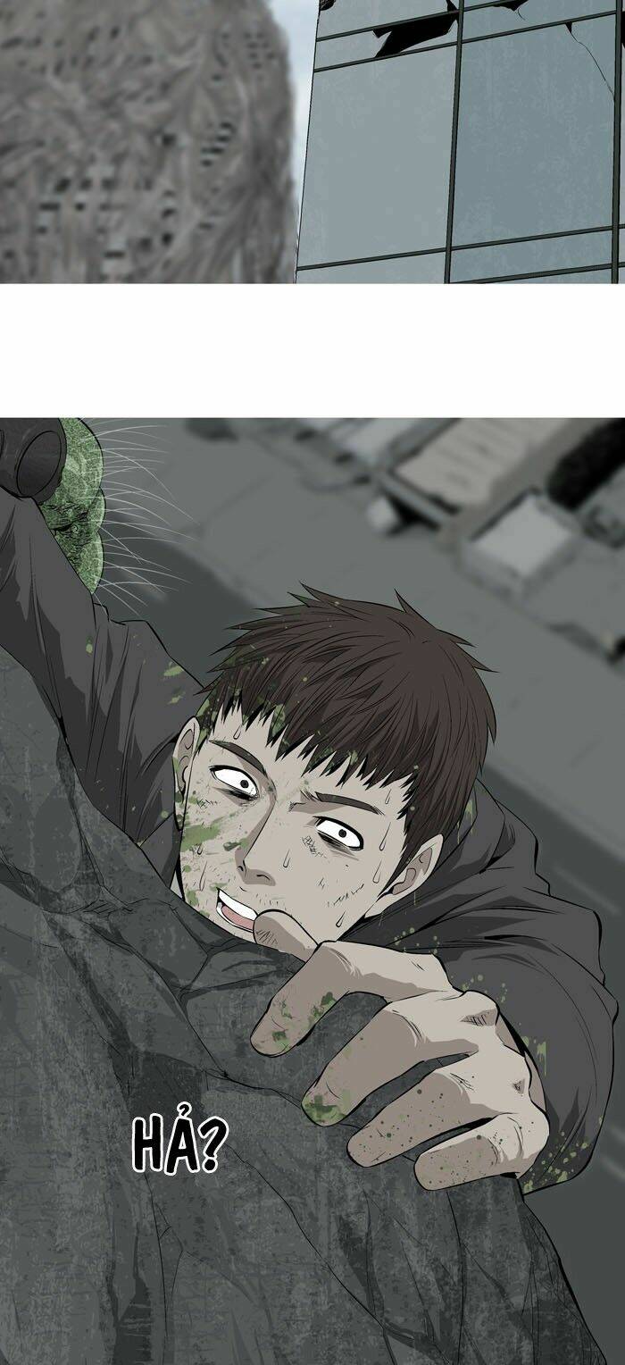 Thảm Họa Ong Độc Chapter 3 - Trang 2