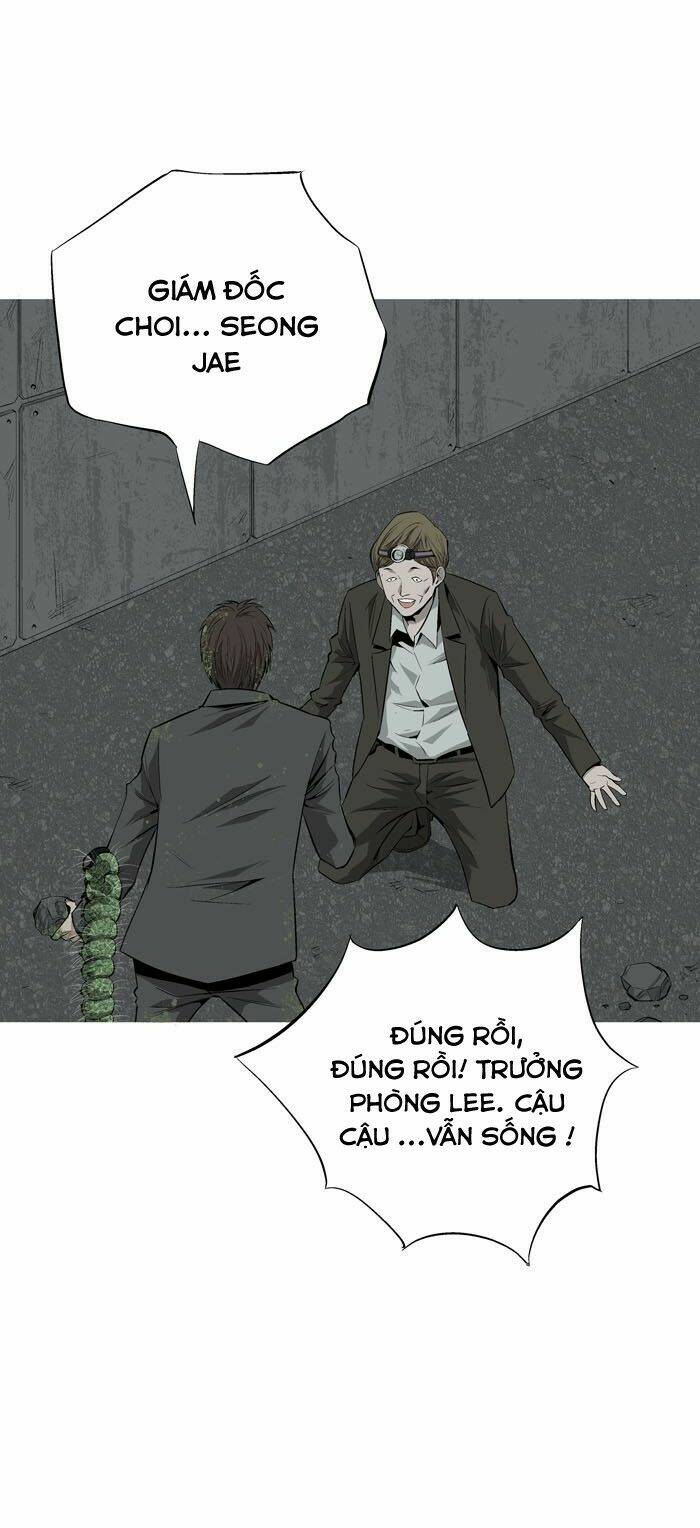 Thảm Họa Ong Độc Chapter 3 - Trang 2