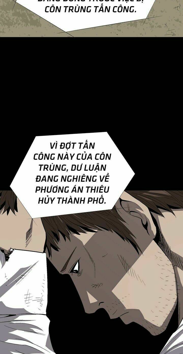 Thảm Họa Ong Độc Chapter 30 - Trang 2